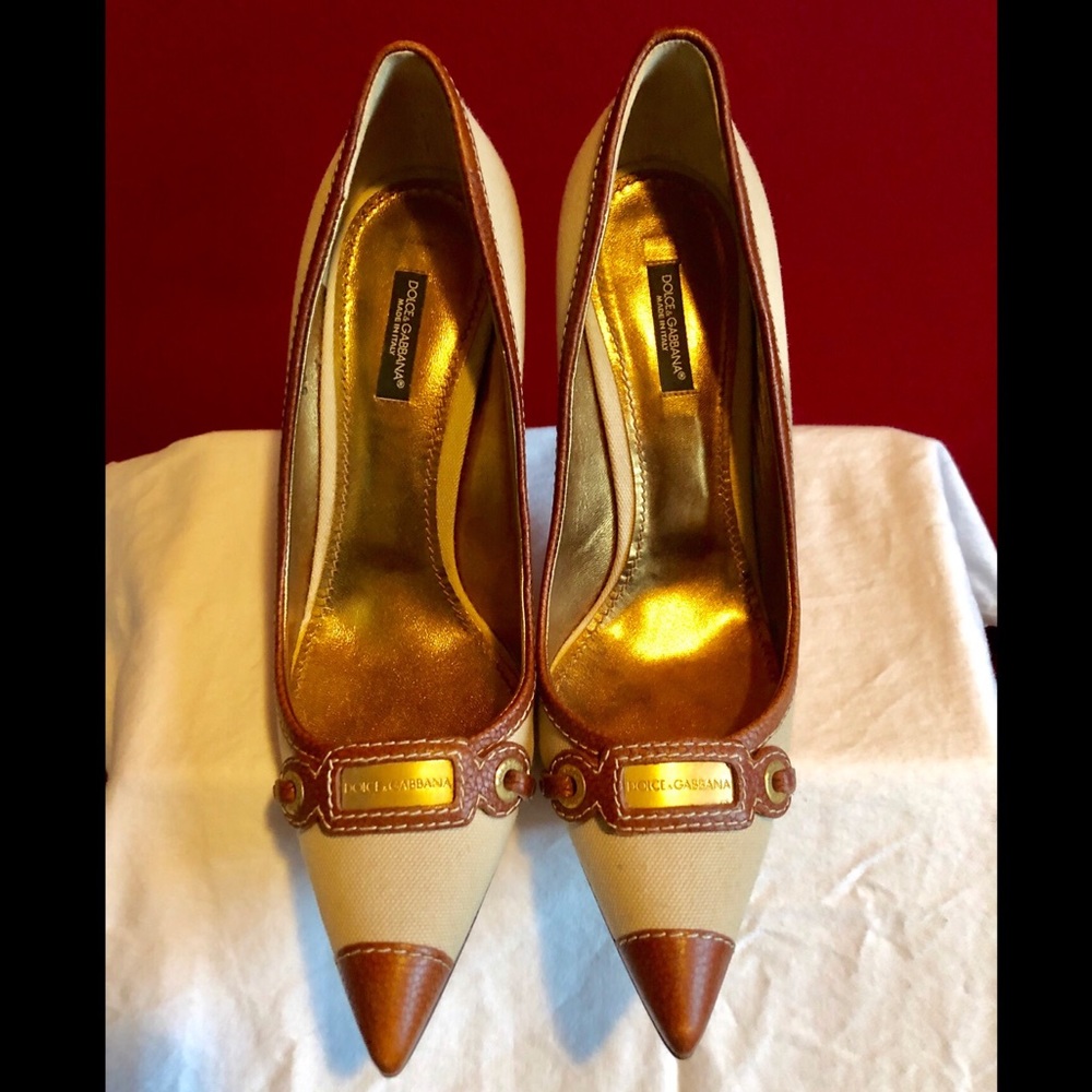 Dolce&Gabana”VeroCuoio”PointyCanvasLeatherStiletto